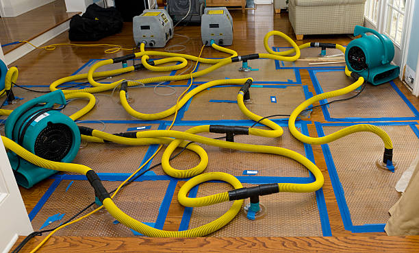 Professional Water Damage Repair technician working in Vanderpool, TX